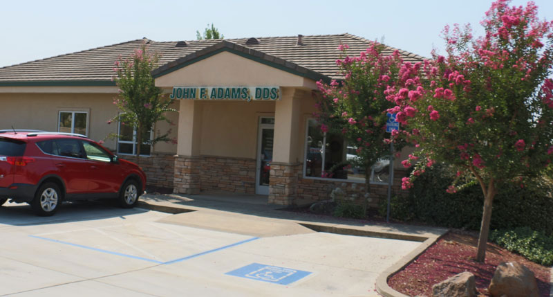 The image shows a building with a sign that reads Judy Adams Dogs, indicating it is a dog grooming business. The establishment is located in a suburban or small-town setting, as evidenced by the presence of trees and a clear sky in the background.